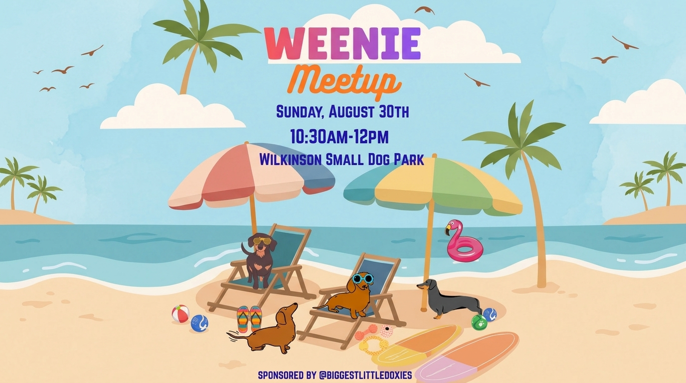 Illustrated August Weenie Meetup poster for Wilkinson Small Dog Park