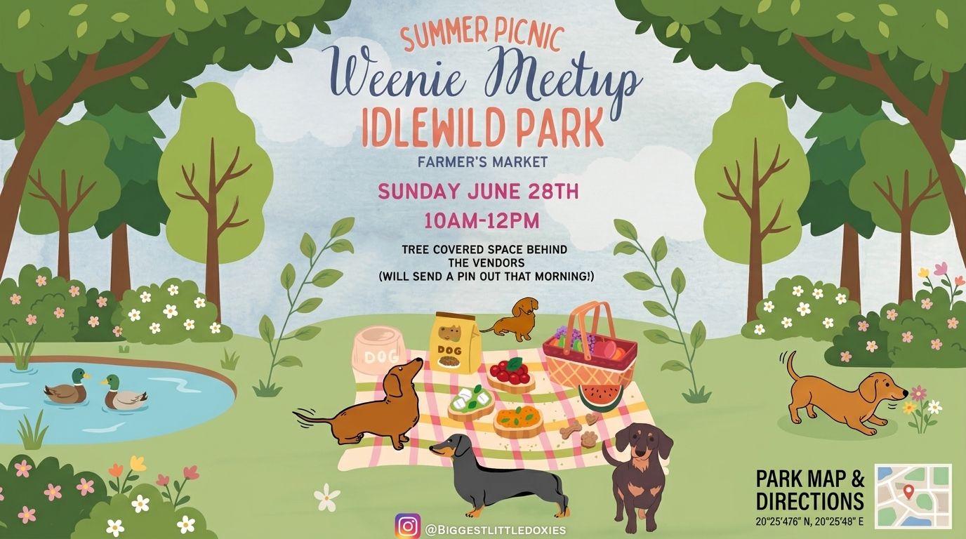 Illustrated June Weenie Meetup picnic poster for Idlewild Park